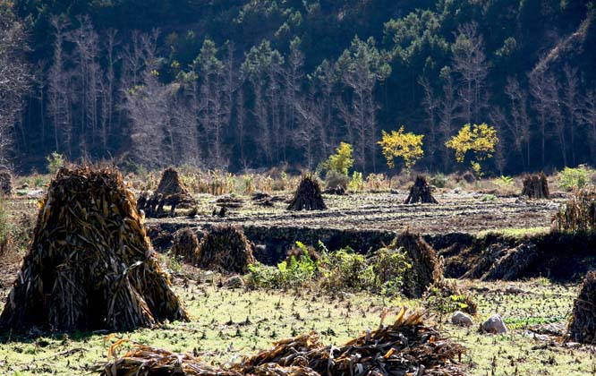 圖片關鍵詞 1488373707.jpg