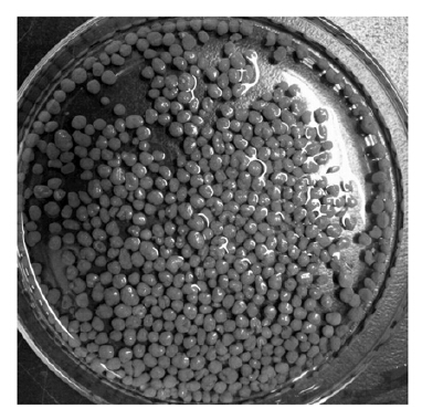 圖片關鍵詞 圖片關鍵詞