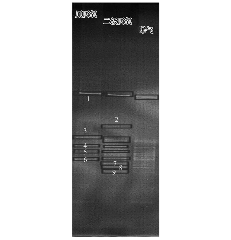 圖片關(guān)鍵詞 圖片關(guān)鍵詞