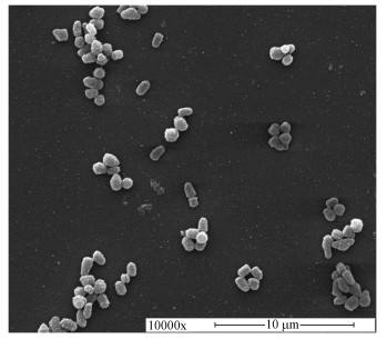 圖片關鍵詞 圖片關鍵詞
