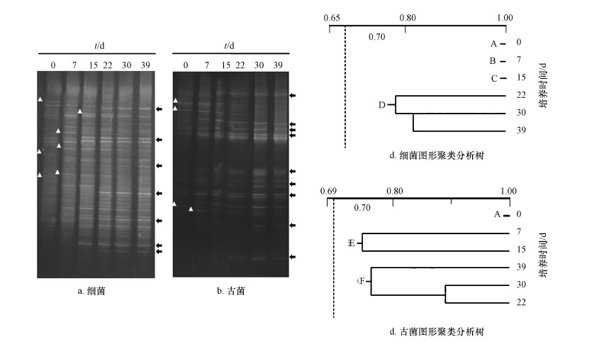 圖片關鍵詞 圖片關鍵詞
