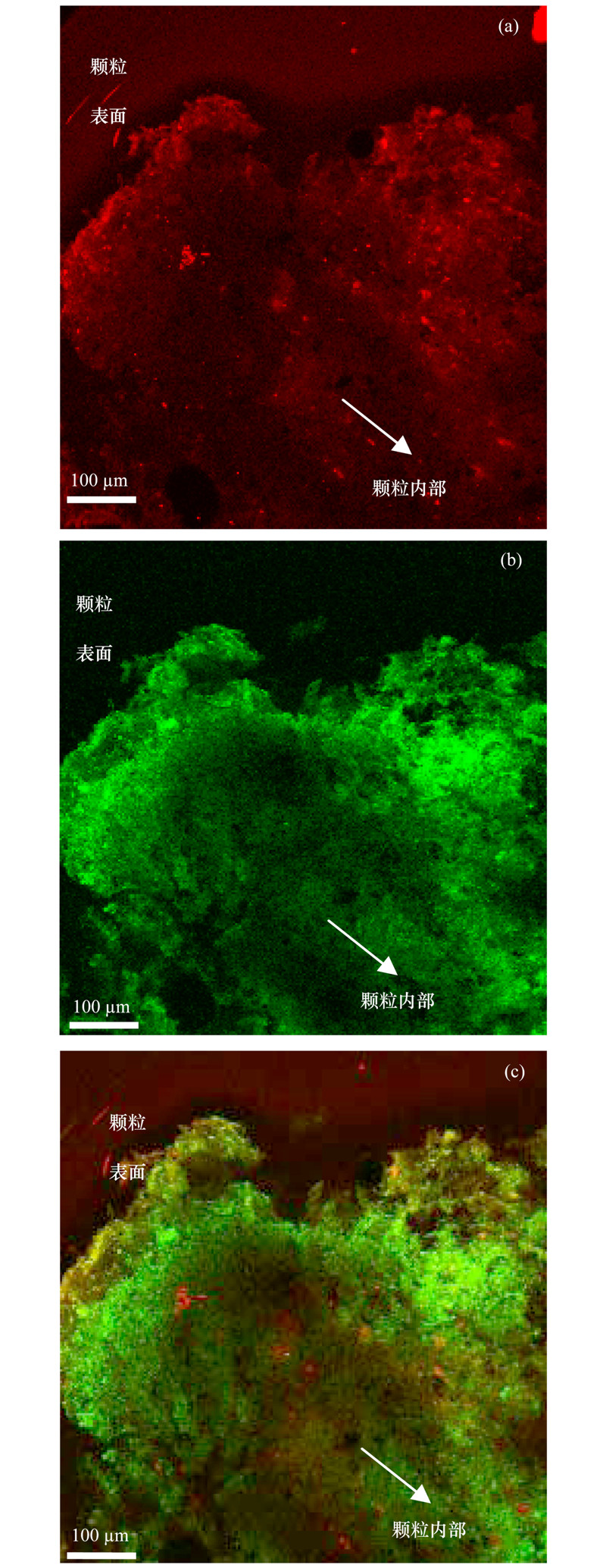 圖片關鍵詞 圖片關鍵詞