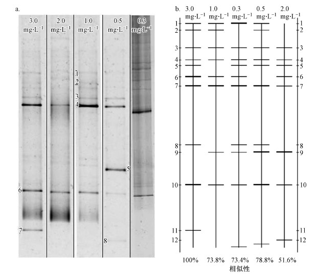 圖片關鍵詞 圖片關鍵詞