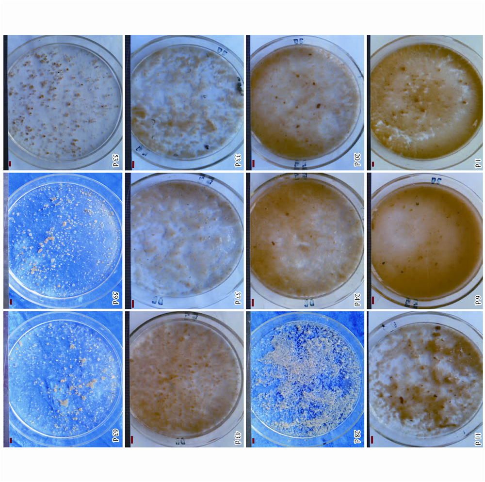 圖片關鍵詞 圖片關鍵詞