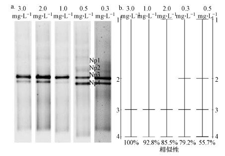圖片關(guān)鍵詞 圖片關(guān)鍵詞