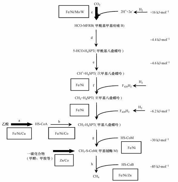 圖片關鍵詞 圖片關鍵詞