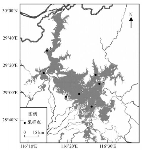 圖片關鍵詞 圖片關鍵詞