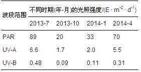 圖片關(guān)鍵詞 圖片關(guān)鍵詞
