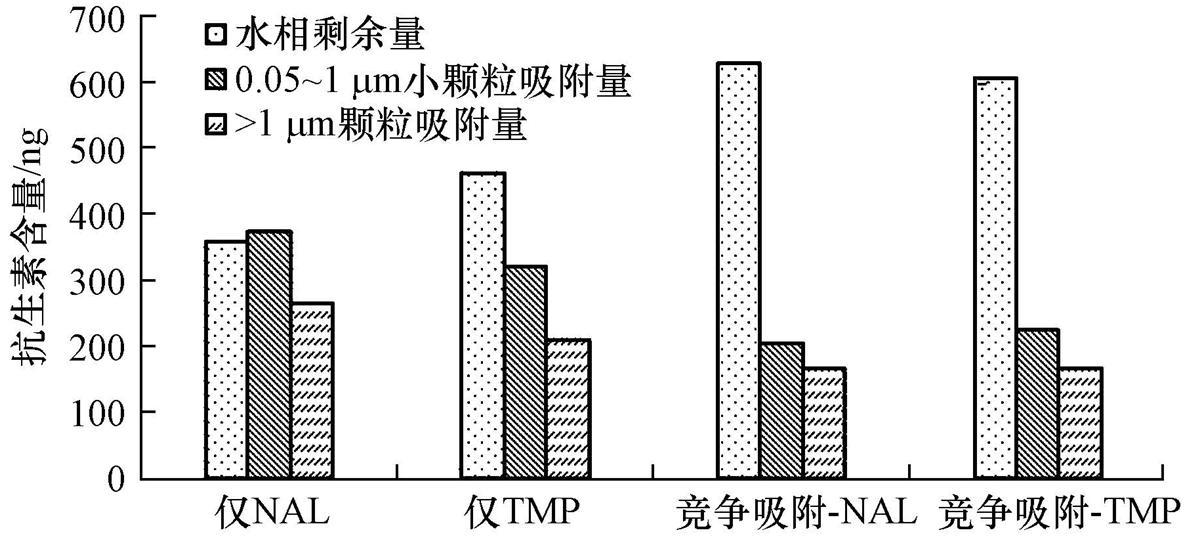 圖片關鍵詞 圖片關鍵詞