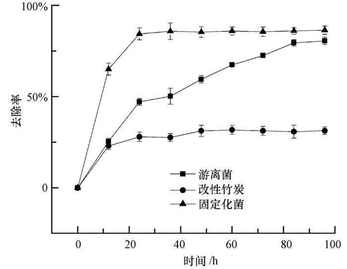 圖片關(guān)鍵詞