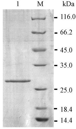 圖片關(guān)鍵詞
