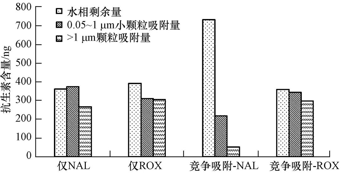 圖片關鍵詞 圖片關鍵詞