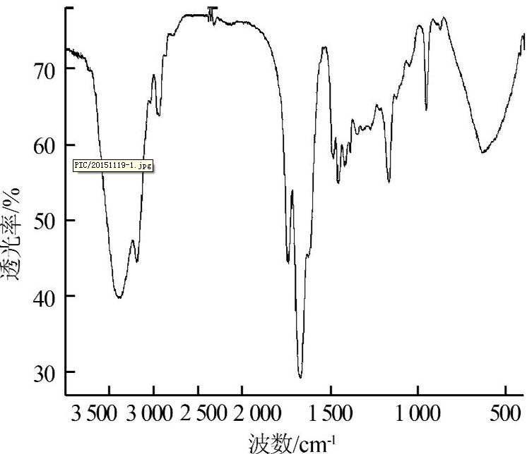 圖片關(guān)鍵詞