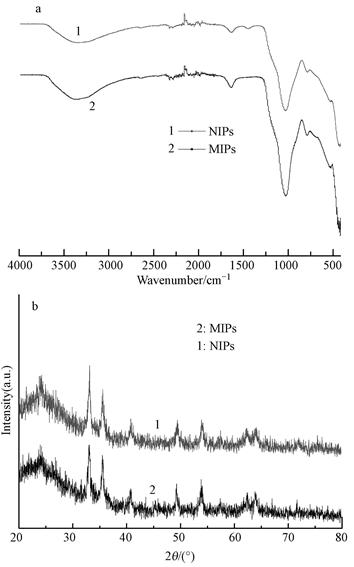 圖片關(guān)鍵詞